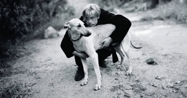 Brad Pitt contó la historia detrás del perro que salvó cuando vivió en Argentina