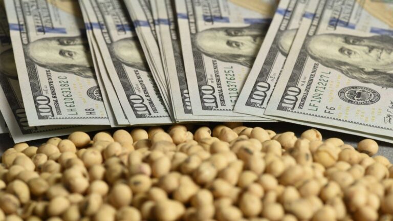 El precio de una exportación clave de la Argentina tocó su valor más bajo en 15 años