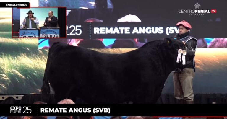 «Picante»: pagaron 115 millones de pesos por un toro dos años menor en la Expo Rural de Palermo