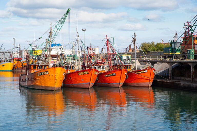 Sector en crisis: aunque sin una definición, el Gobierno analiza una baja de las retenciones a la pesca