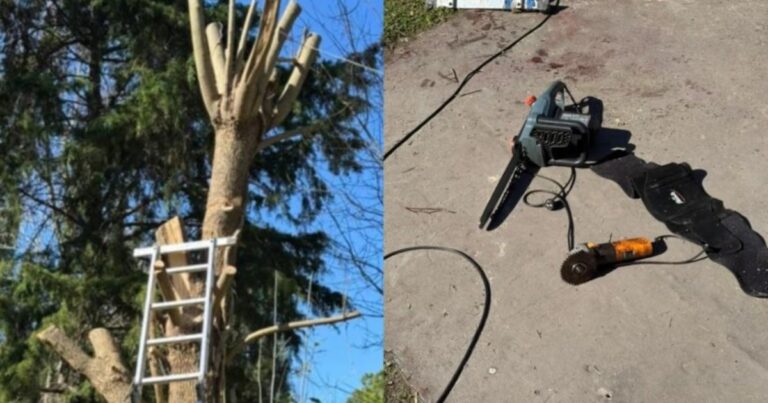 Tragedia en La Plata: un jubilado de 86 años murió tras cortarse con una motosierra mientras podaba un árbol en su casa
