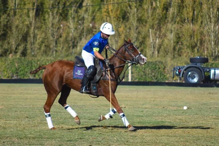 Público disfrutando de la Vendimia Neuquina 2026 en La Sarita Polo Club, Centenario