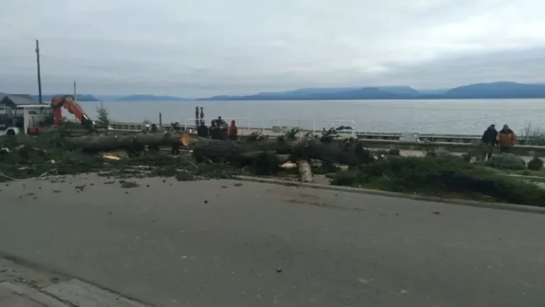 Obras de renovación en la Costanera de Bariloche, sobre Avenida 12 de Octubre