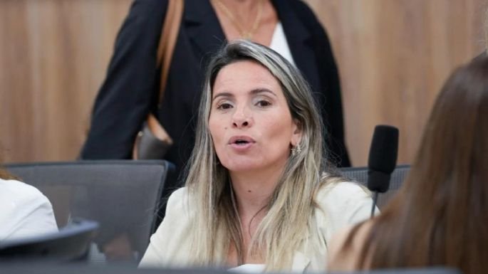 Soledad Mondaca diputada nacional Neuquén subsidio gas Zonas Frías