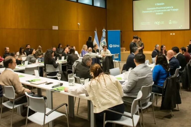 Reunión plenaria de la COPRETI en Neuquén