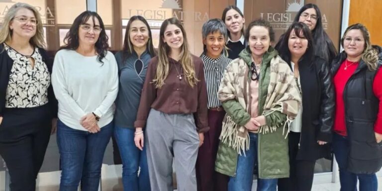 Sesión legislativa en Neuquén con autoridades del Hospital Provincial Neuquén y equipo de Casa de Mujeres
